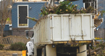 Tree Removal - All areas of Construction